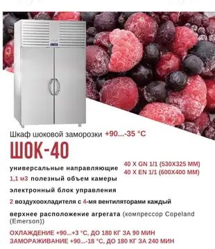 Шкаф шоковой заморозки для рыбы Abat ШОК-40
