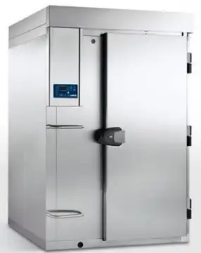 Шкаф шоковой заморозки для рыбы Lainox RCMC42T