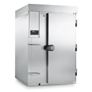 Шкаф шоковой заморозки для овощей Lainox PDMC40T