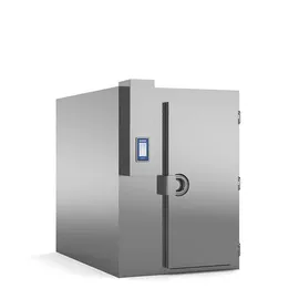 Шкаф шоковой заморозки для пельменей Irinox MF 250.2 2T PASS-THRU RR/К-Т для низк.темп.+разобр.+рампа