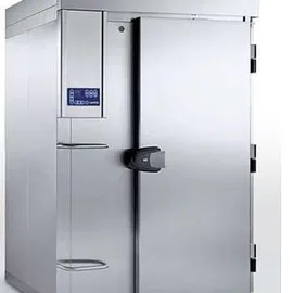 Шкаф шоковой заморозки для рыбы Lainox RCMC40T