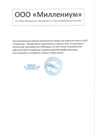 Миллениум