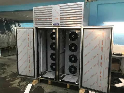 Шкаф шоковой заморозки для икры Abat ШОК-40-01 Шкаф шоковой заморозки для икры Abat ШОК-40-01