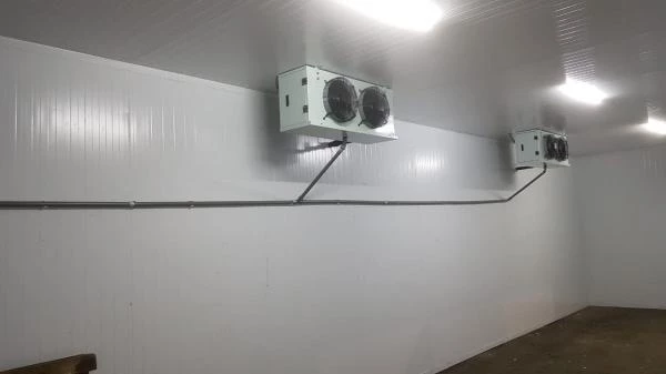 Холодильная камера для хранения овощей