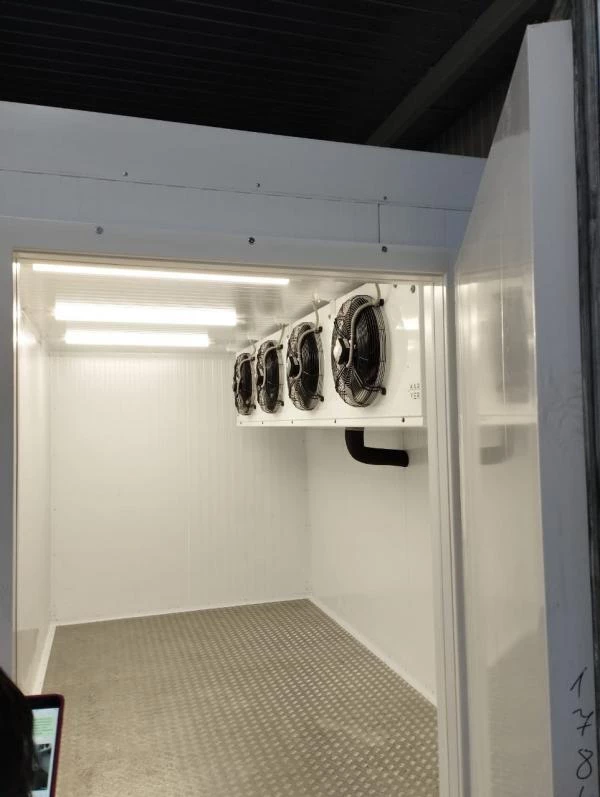 Камера шоковой заморозки рыбы