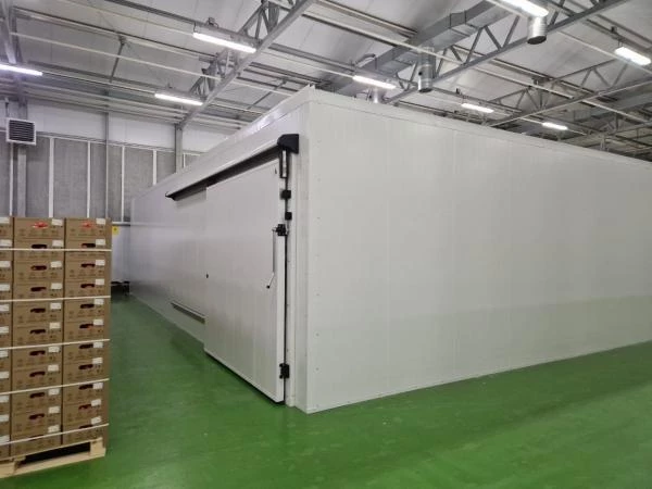 Холодильная камера для хранения томатов