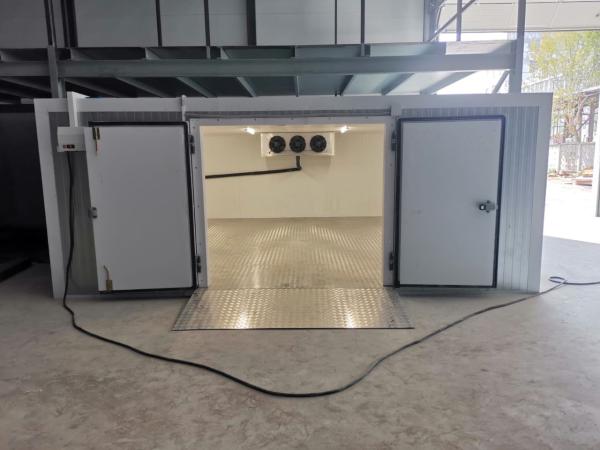 Холодильная камера для хранения замороженной продукции