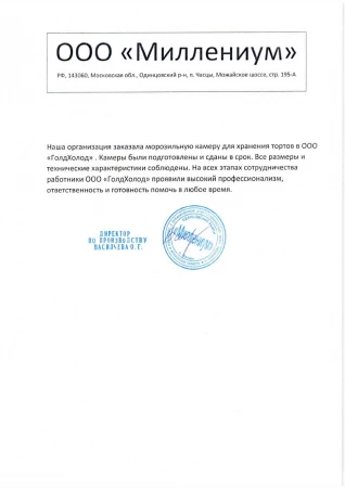 Миллениум Миллениум