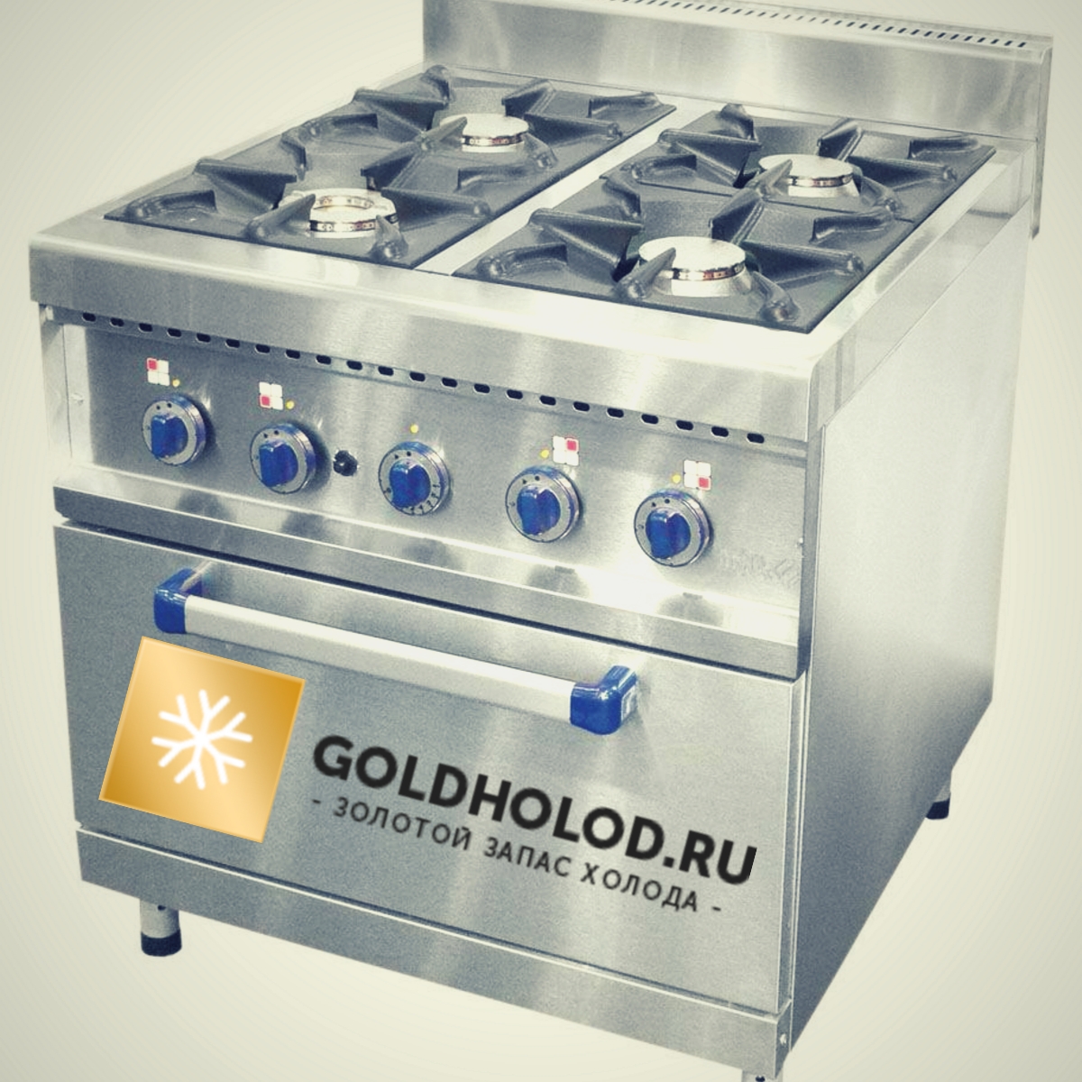 Особенности промышленных газовых плит