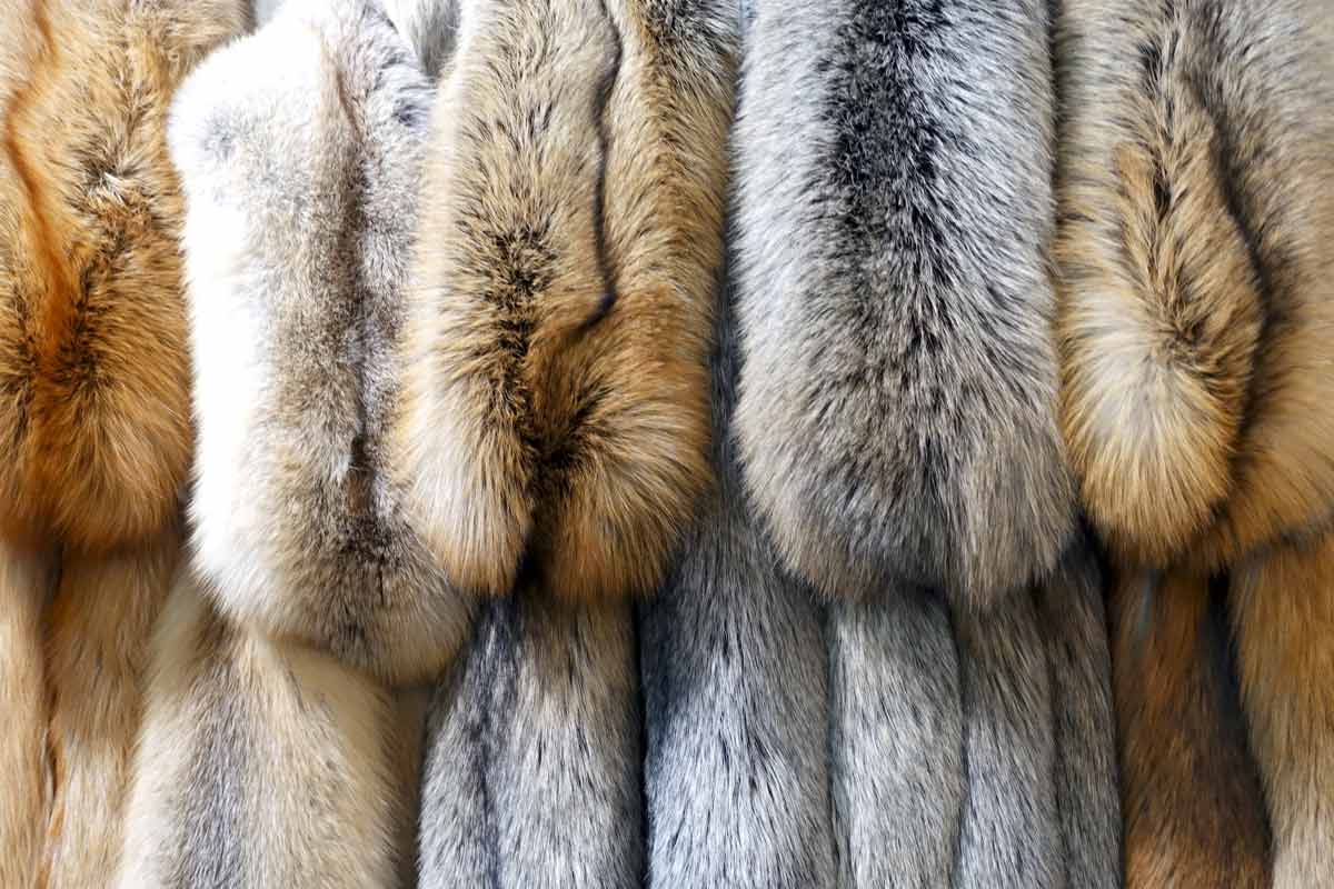 Почему мех все еще востребован